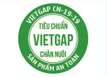 Việt Gap