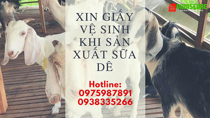 Dịch vụ xin vệ sinh sữa dê nhanh chóng tiết kiệm tại Hồ Chí Minh