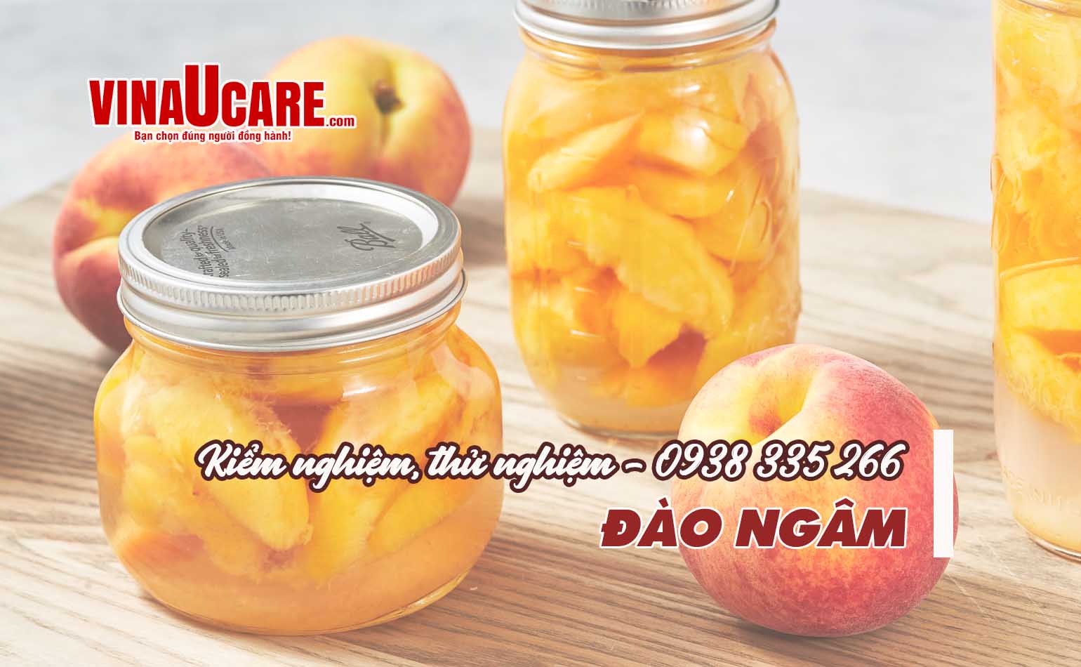 Kiểm nghiệm, thử nghiệm đào ngâm Vinaucare