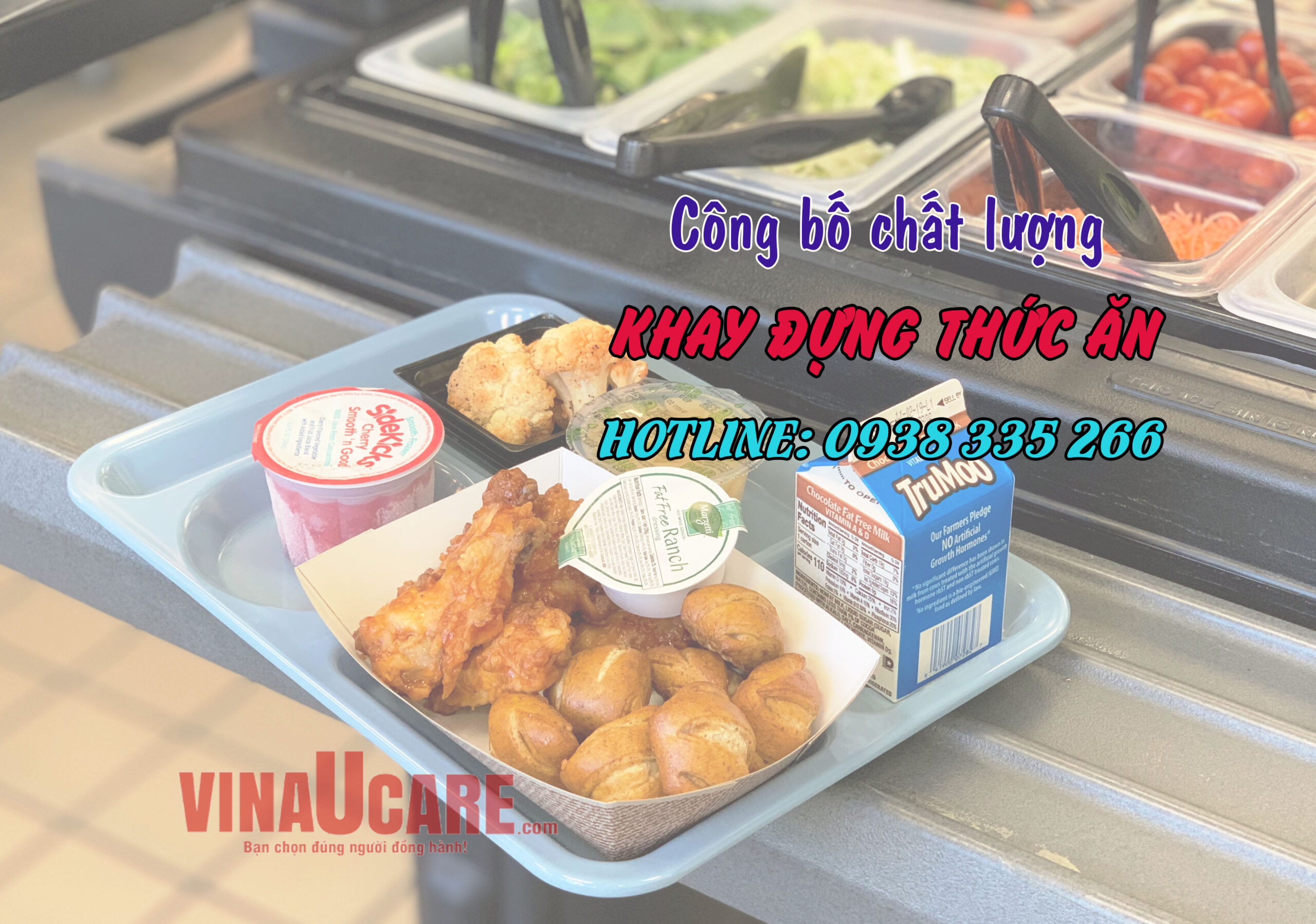 Công bố chất lượng khay đựng thức ăn