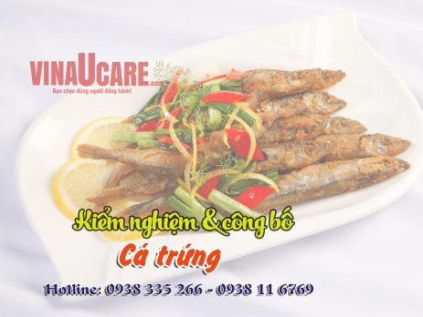Kiểm nghiệm và công bố cá trứng