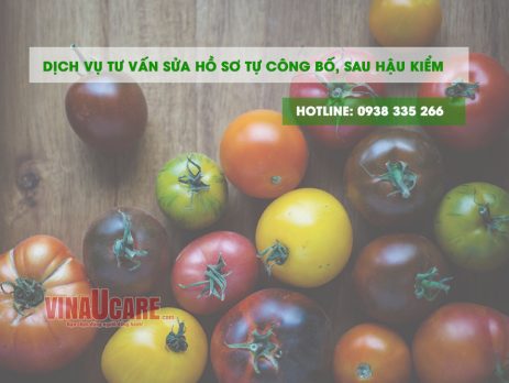 Dịch vụ tư vấn sửa hồ sơ tự công bố, sau hậu kiểm