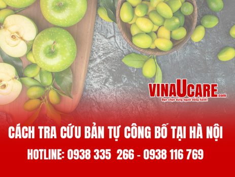 Cách tra cứu bản tự công bố tại Hà Nội