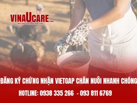 Tư vấn đăng ký chứng nhận VIETGAP chăn nuôi nhanh chóng