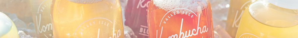 Tư vấn soạn MSDS trà Kombucha nhanh chóng