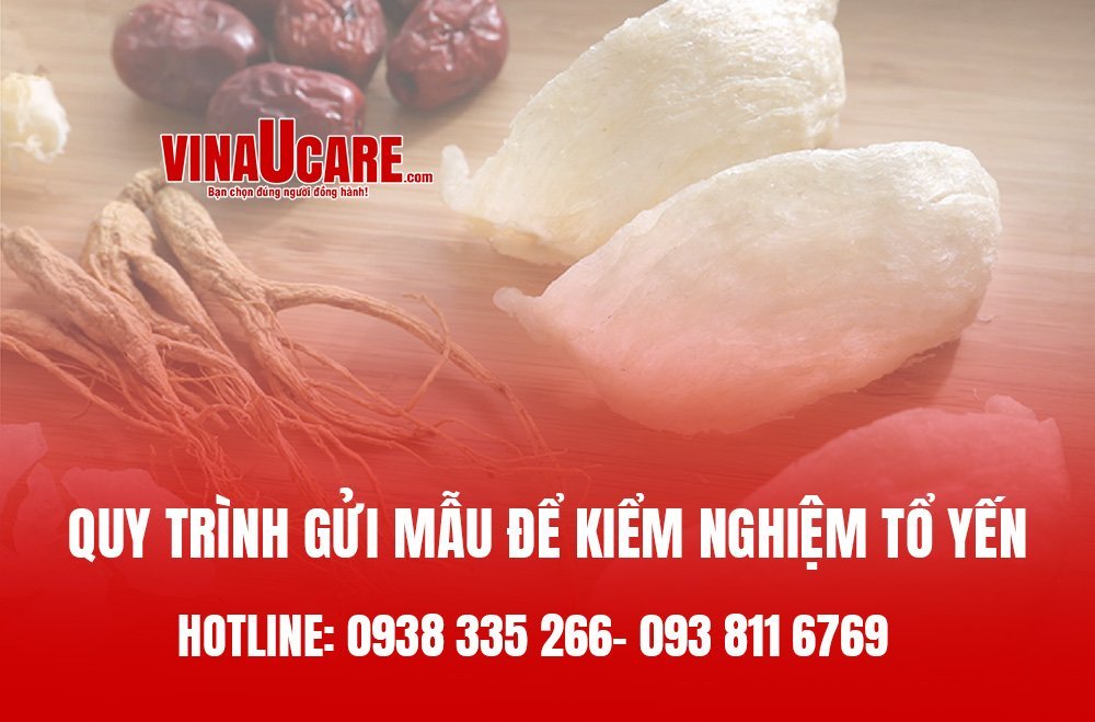 Quy trình gửi mẫu kiểm nghiệm tổ yến
