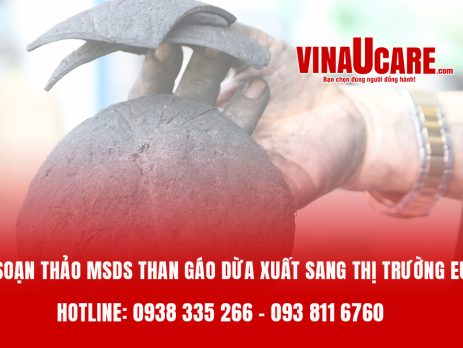 Soạn thảo MSDS than gáo dừa xuất sang thị trường EU