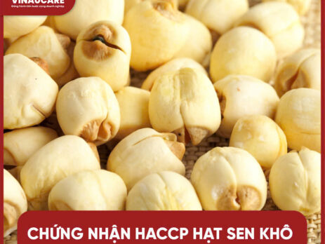 Đăng kí chứng nhận HACCP hạt sen khô