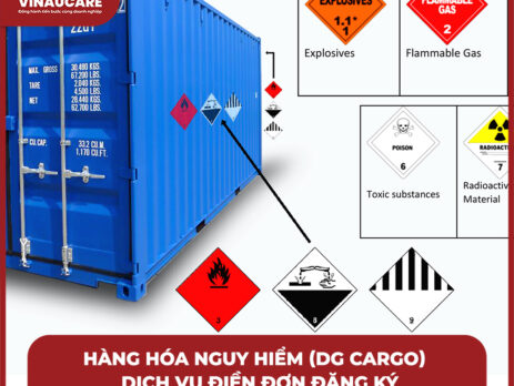 Hàng Hóa Nguy Hiểm (DG Cargo) - Dịch Vụ Điền Đơn Đăng Ký