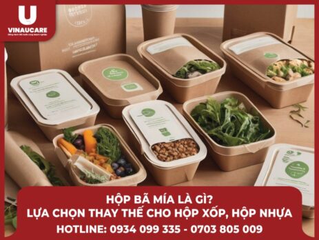 Hộp bã mía là gì? Liệu có là lựa chọn phù hợp thay thế hộp xốp, nhựa?