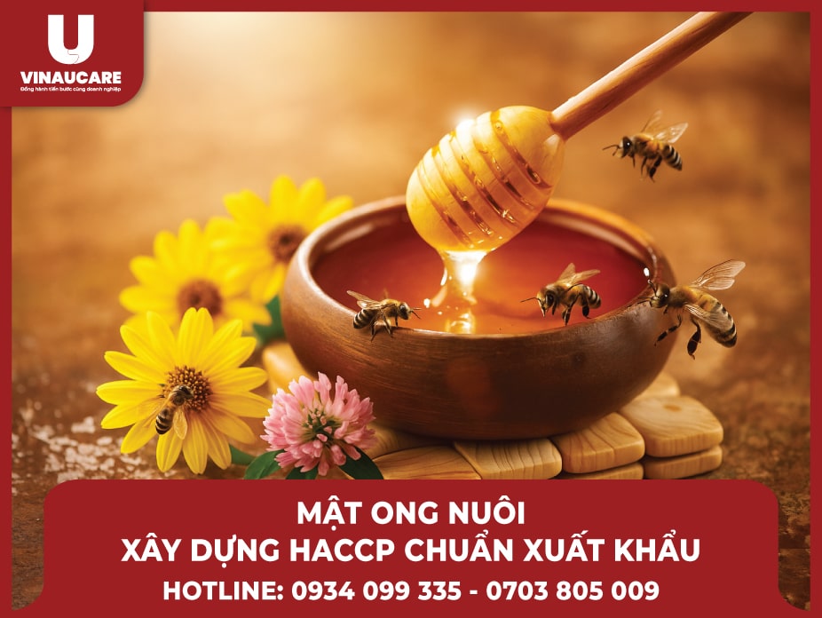 dich-vu-lam-haccp-mat-ong-nuoi-toi-uu-chi-phi-dung-chuan-quoc-te