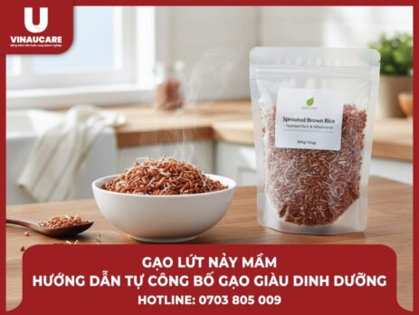 gao-lut-nay-mam-huong-dan-tu-cong-bo-gao-giau-dinh-duong-nhat-hien-nay