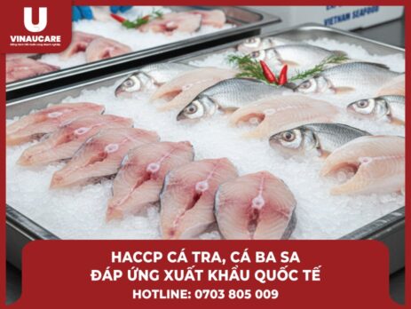 Chứng nhận HACCP cho cá tra, cá ba sa - Đáp ứng xuất khẩu Quốc tế
