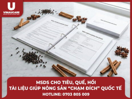 msds-cho-tieu-que-hoi-tai-lieu-ky-thuat-chuan-quoc-te
