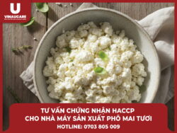 Tư vấn chứng nhận HACCP cho nhà máy sản xuất phô mai tươi