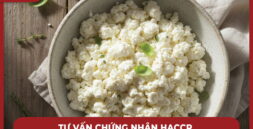Tư vấn chứng nhận HACCP cho nhà máy sản xuất phô mai tươi