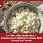 Tư vấn chứng nhận HACCP cho nhà máy sản xuất phô mai tươi