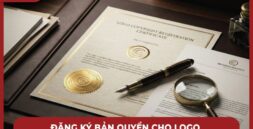 Hướng dẫn chi tiết các bước chuẩn bị hồ sơ và nộp đơn đăng ký bản quyền logo mới nhất trong năm 2026 tại VINAUCARE